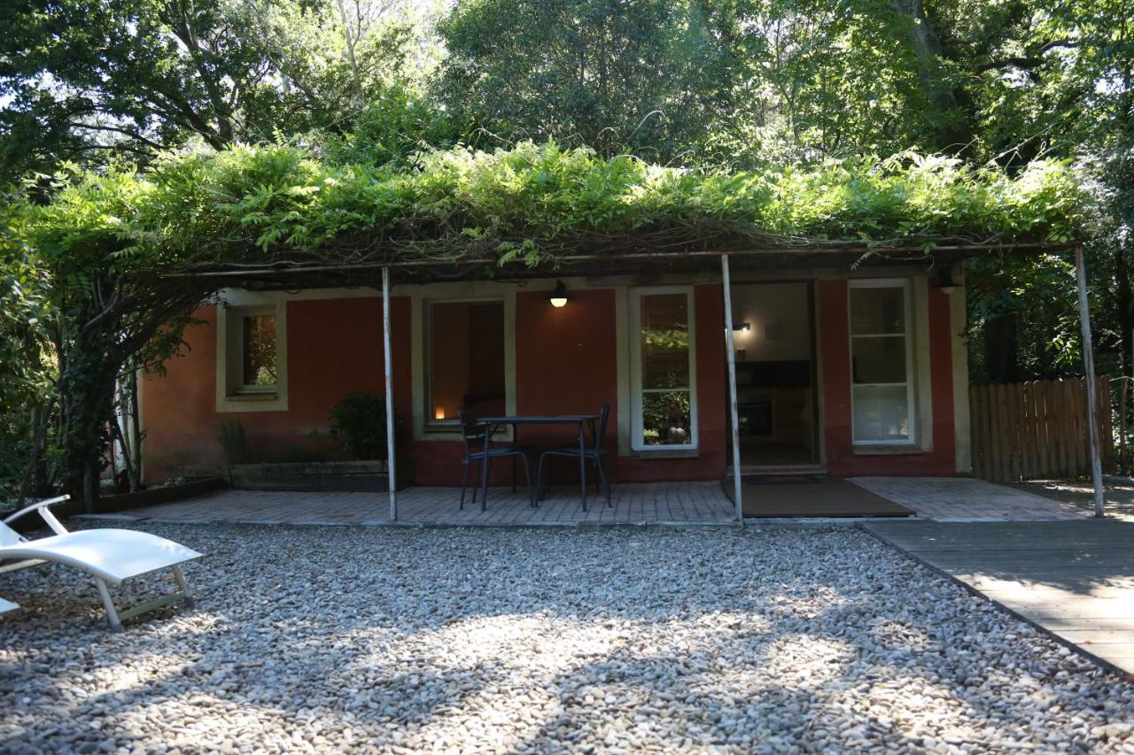 Le Pavillon Vert - B&B Vedène Eksteriør bilde