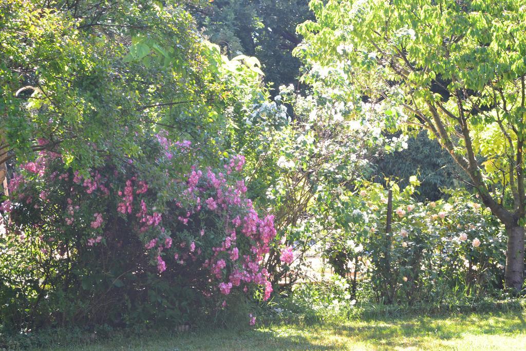 Le Pavillon Vert - B&B Vedène Eksteriør bilde