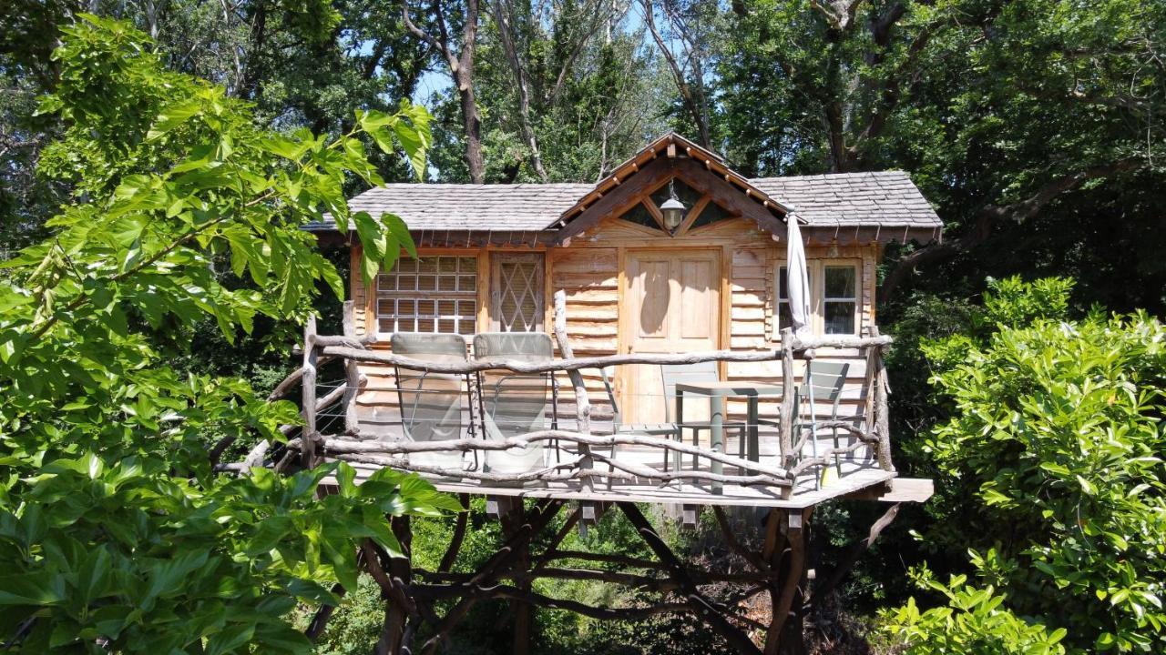 Le Pavillon Vert - B&B Vedène Eksteriør bilde